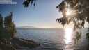 ./images/koeye/fitz-hugh/20260812/fitz-hugh20260812_191001M.jpg