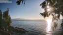 ./images/koeye/fitz-hugh/20260812/fitz-hugh20260812_191501M.jpg