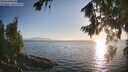 ./images/koeye/fitz-hugh/20260812/fitz-hugh20260812_192001M.jpg