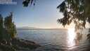 ./images/koeye/fitz-hugh/20260812/fitz-hugh20260812_192501M.jpg