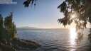 ./images/koeye/fitz-hugh/20260812/fitz-hugh20260812_193001M.jpg