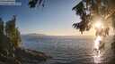 ./images/koeye/fitz-hugh/20260812/fitz-hugh20260812_195502M.jpg