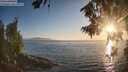 ./images/koeye/fitz-hugh/20260812/fitz-hugh20260812_200002M.jpg