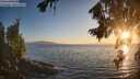 ./images/koeye/fitz-hugh/20260812/fitz-hugh20260812_202001M.jpg