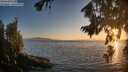 ./images/koeye/fitz-hugh/20260812/fitz-hugh20260812_202501M.jpg