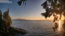 ./images/koeye/fitz-hugh/20260812/fitz-hugh20260812_203001M.jpg