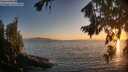 ./images/koeye/fitz-hugh/20260812/fitz-hugh20260812_203501M.jpg
