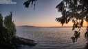 ./images/koeye/fitz-hugh/20260812/fitz-hugh20260812_205501M.jpg