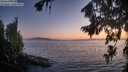 ./images/koeye/fitz-hugh/20260812/fitz-hugh20260812_211001M.jpg