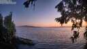 ./images/koeye/fitz-hugh/20260812/fitz-hugh20260812_212002M.jpg