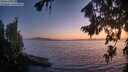./images/koeye/fitz-hugh/20260812/fitz-hugh20260812_212501M.jpg