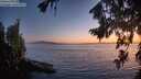 ./images/koeye/fitz-hugh/20260812/fitz-hugh20260812_213001M.jpg