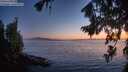 ./images/koeye/fitz-hugh/20260812/fitz-hugh20260812_213501M.jpg