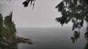 ./images/koeye/fitz-hugh/20260813/fitz-hugh20260813_121001M.jpg