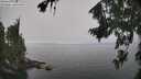 ./images/koeye/fitz-hugh/20260813/fitz-hugh20260813_122501M.jpg