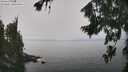 ./images/koeye/fitz-hugh/20260813/fitz-hugh20260813_123501M.jpg