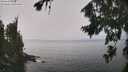 ./images/koeye/fitz-hugh/20260813/fitz-hugh20260813_125001M.jpg