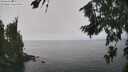 ./images/koeye/fitz-hugh/20260813/fitz-hugh20260813_130002M.jpg
