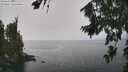 ./images/koeye/fitz-hugh/20260813/fitz-hugh20260813_130501M.jpg