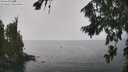 ./images/koeye/fitz-hugh/20260813/fitz-hugh20260813_131001M.jpg