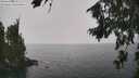 ./images/koeye/fitz-hugh/20260813/fitz-hugh20260813_131501M.jpg