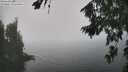 ./images/koeye/fitz-hugh/20260813/fitz-hugh20260813_133501M.jpg