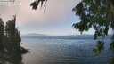 ./images/koeye/fitz-hugh/20260813/fitz-hugh20260813_140002M.jpg