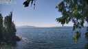 ./images/koeye/fitz-hugh/20260813/fitz-hugh20260813_141501M.jpg