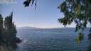 ./images/koeye/fitz-hugh/20260813/fitz-hugh20260813_142001M.jpg