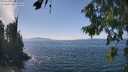 ./images/koeye/fitz-hugh/20260813/fitz-hugh20260813_142501M.jpg
