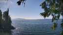 ./images/koeye/fitz-hugh/20260813/fitz-hugh20260813_143001M.jpg