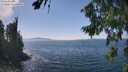 ./images/koeye/fitz-hugh/20260813/fitz-hugh20260813_143501M.jpg