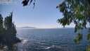 ./images/koeye/fitz-hugh/20260813/fitz-hugh20260813_145501M.jpg