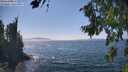 ./images/koeye/fitz-hugh/20260813/fitz-hugh20260813_150501M.jpg
