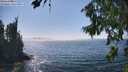 ./images/koeye/fitz-hugh/20260813/fitz-hugh20260813_152001M.jpg