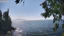 ./images/koeye/fitz-hugh/20260813/fitz-hugh20260813_152501M.jpg