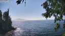 ./images/koeye/fitz-hugh/20260813/fitz-hugh20260813_153002M.jpg