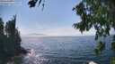 ./images/koeye/fitz-hugh/20260813/fitz-hugh20260813_153501M.jpg