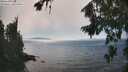 ./images/koeye/fitz-hugh/20260813/fitz-hugh20260813_155501M.jpg