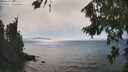 ./images/koeye/fitz-hugh/20260813/fitz-hugh20260813_160501M.jpg