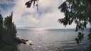 ./images/koeye/fitz-hugh/20260813/fitz-hugh20260813_163001M.jpg