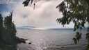 ./images/koeye/fitz-hugh/20260813/fitz-hugh20260813_163501M.jpg