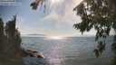 ./images/koeye/fitz-hugh/20260813/fitz-hugh20260813_165001M.jpg