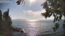 ./images/koeye/fitz-hugh/20260813/fitz-hugh20260813_170001M.jpg