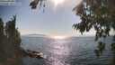 ./images/koeye/fitz-hugh/20260813/fitz-hugh20260813_170501M.jpg