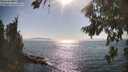 ./images/koeye/fitz-hugh/20260813/fitz-hugh20260813_171001M.jpg