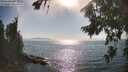 ./images/koeye/fitz-hugh/20260813/fitz-hugh20260813_171501M.jpg