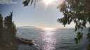 ./images/koeye/fitz-hugh/20260813/fitz-hugh20260813_172001M.jpg