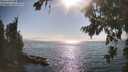 ./images/koeye/fitz-hugh/20260813/fitz-hugh20260813_172501M.jpg