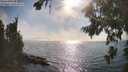 ./images/koeye/fitz-hugh/20260813/fitz-hugh20260813_173002M.jpg